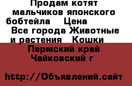 Продам котят мальчиков японского бобтейла. › Цена ­ 30 000 - Все города Животные и растения » Кошки   . Пермский край,Чайковский г.